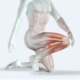 MICRO-CREDENTIALS_Anatomy and Physiology