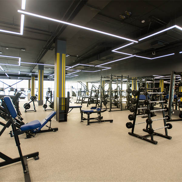 Fitness Enviroment